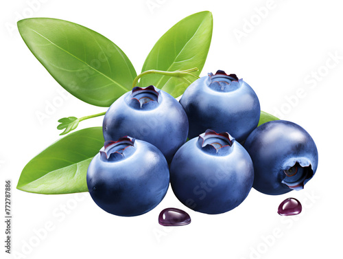 a group of blueberries with leaves