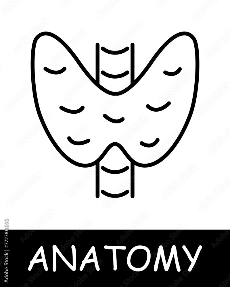 Pelvic bone line icon. Spine, calcium, skeleton, anatomy, medicine, training, doctor, nurse, human, body, physiology. Vector line icon for business and advertising Pelvic bone line icon. Spine, calcium, skeleton, anatomy, medicine, training, doctor, nurse, human, body, physiology. Vector line icon for business and advertising