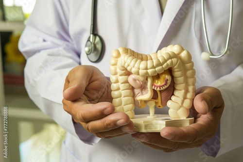 physician holding a model of the intestines