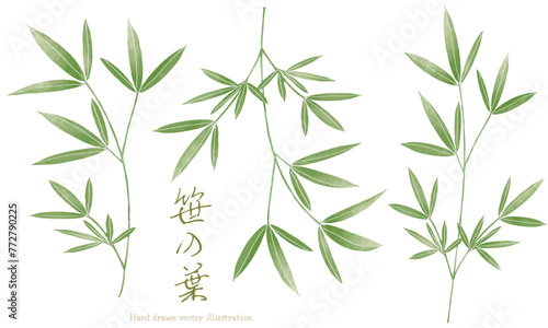 水彩で描いた笹の葉のイラスト
