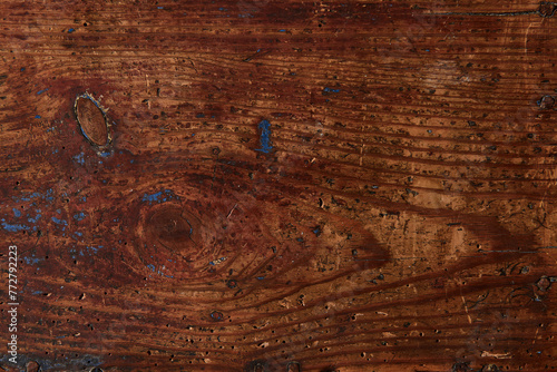 old bark beetle damaged wooden board with paint flakes photo