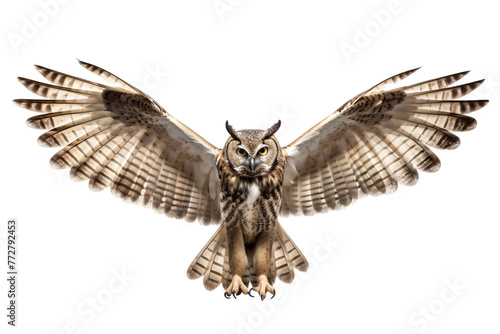 an owl with wings spread
