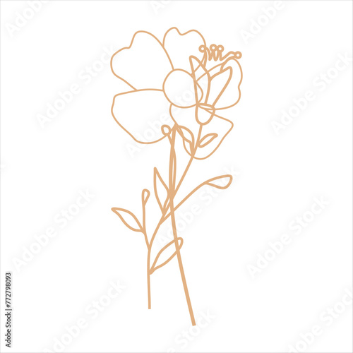 Outline beige abstract floral vector element © RideStudio™