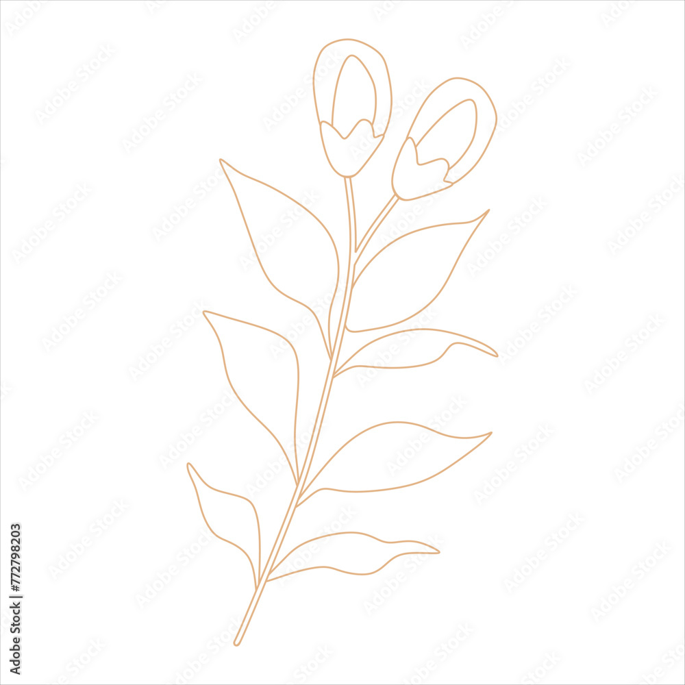 Outline beige abstract floral vector element Outline beige abstract floral vector element