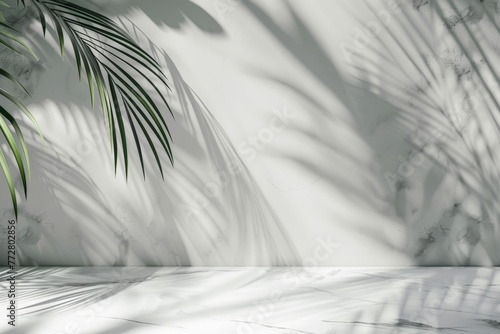 White Room With Palm Tree Shadow