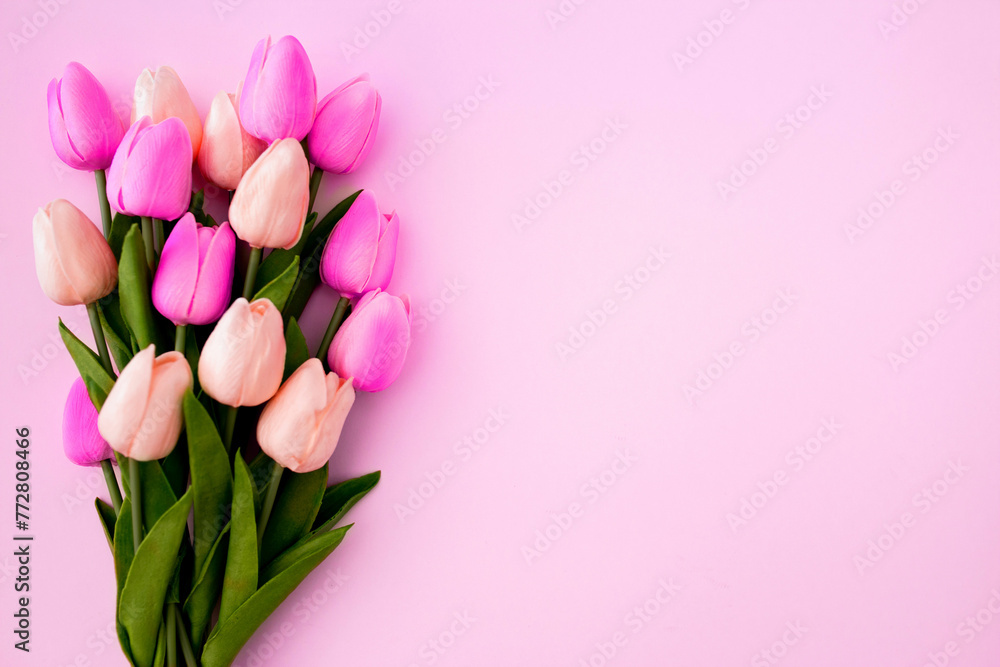 Bouquet of tulips on pink background