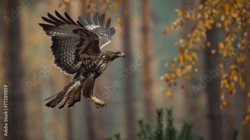 Common Buzzard Soaring with Grandeur in Forest Glade Generative AI © Gelpi