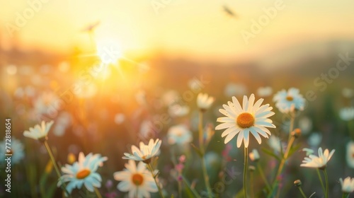 Golden Hour Glow Over Wildflower Meadow - Peaceful Sunset Harmony - Generative AI