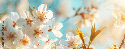 Whispers of Spring  Ethereal Cherry Blossoms in Celestial Light - Generative AI