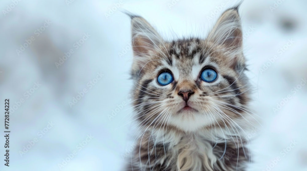 Serene Blue-Eyed Tabby Kitten Luxuriating on a Fluffy White Haven Generative AI