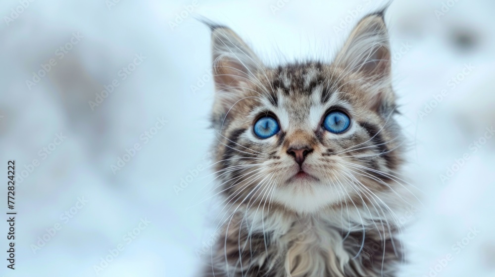 Serene Blue-Eyed Tabby Kitten Luxuriating on a Fluffy White Haven Generative AI Serene Blue-Eyed Tabby Kitten Luxuriating on a Fluffy White Haven Generative AI