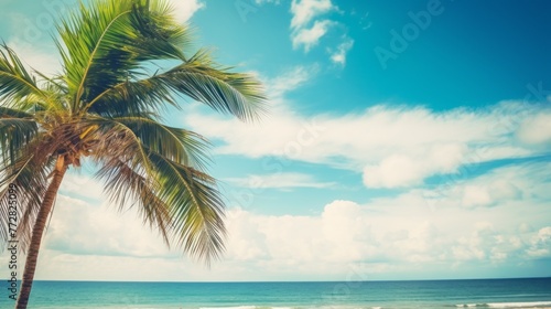 A palm tree is standing on a beach with a clear blue sky