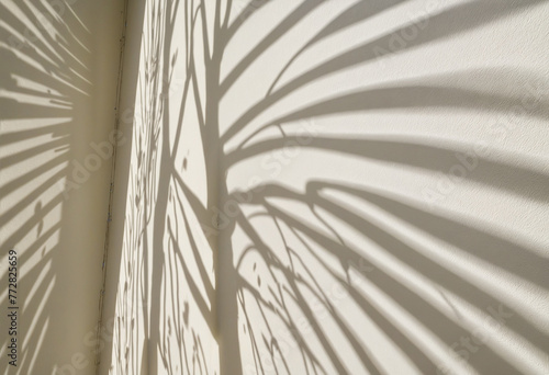 Shadow of leaves on white wall with sunlight and shadows colorful background