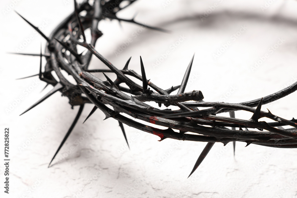 Fototapeta premium Crown of thorns on white grunge background, closeup. Good Friday concept