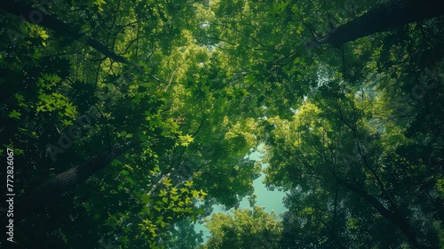Emerald Treetops Whispering to the Sky in Nature s Harmony Generative AI