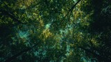 Emerald Treetops Whispering to the Sky in Nature's Harmony Generative AI