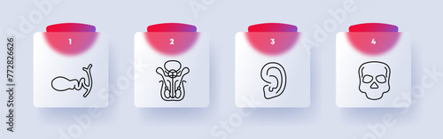 Organs set icon. Female reproductive organ, pelvis, skull, skeleton, bone, ear, numbering. Self care concept. Glassmorphism style.