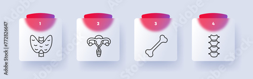 Organs set icon. Female reproductive organ, lungs, kidneys, bone, skeleton, numbering, spine, vertebrae. Self care concept. Glassmorphism style.