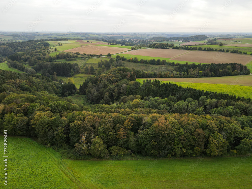 View from above of tree tops in the forest and farmfields