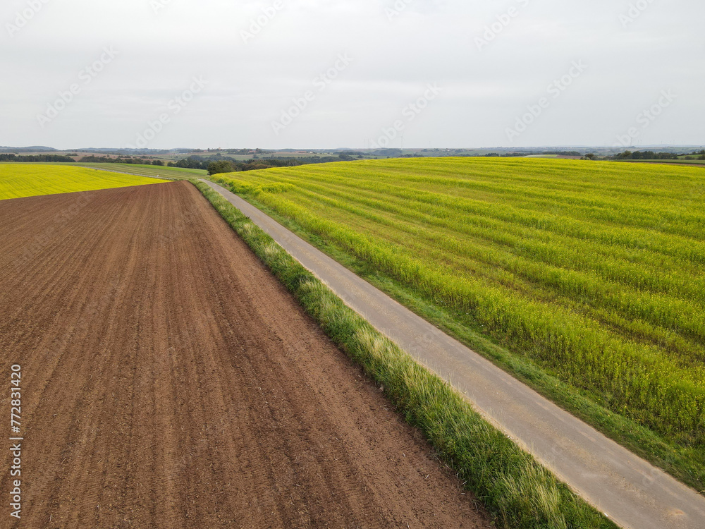 Obraz premium View from above of agricultural fields with soil and rape in countryside 