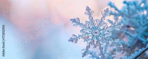 Close-up of a snowflake with blurry background photo