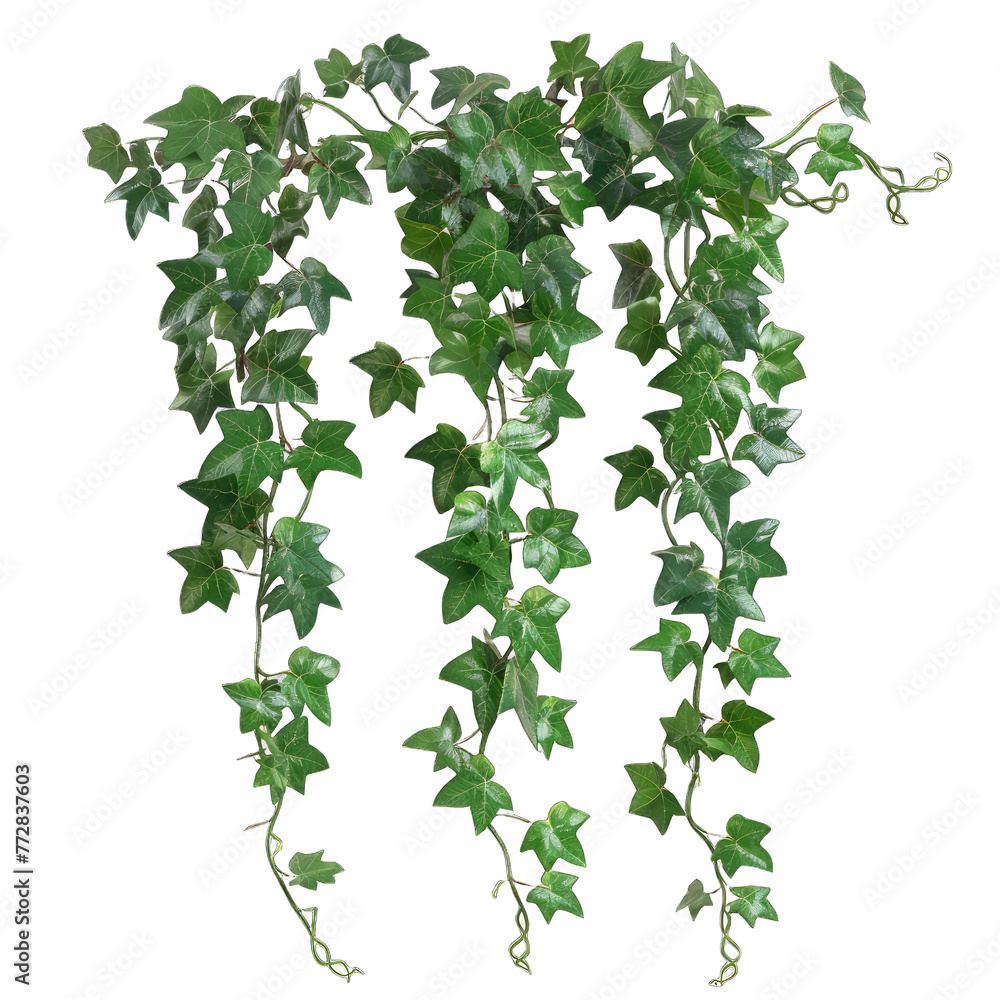 green leaves background green leaves background