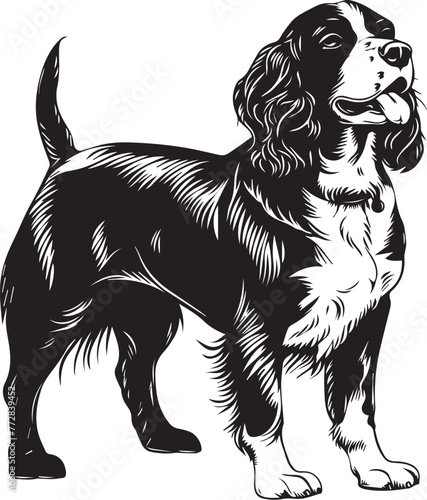 English Springer Spaniel Vector