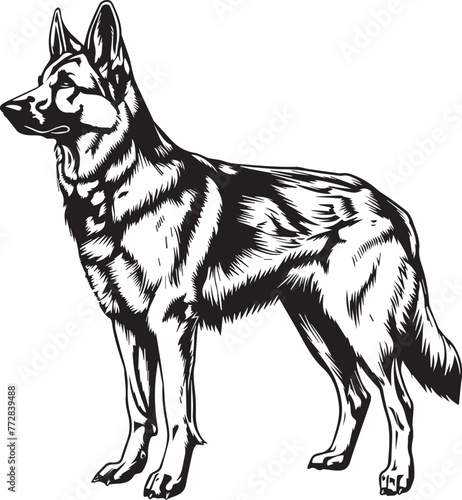 German Shepherd  Vector