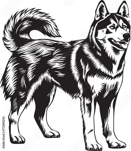 Alaskan Malamute Dog