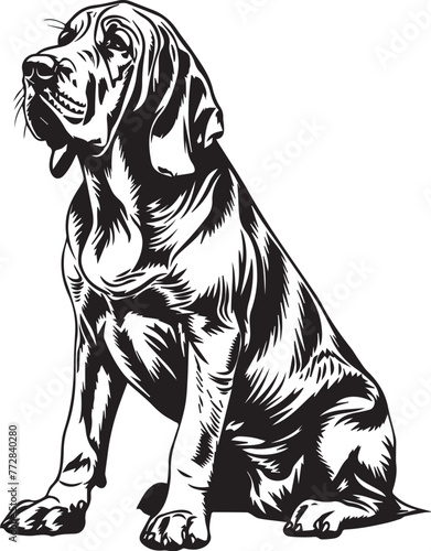 Bloodhound  Vector