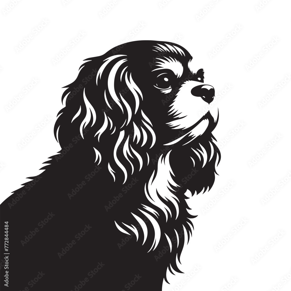 Fototapeta premium Elegant Cavalier King Charles Spaniel Silhouette, Vector Dog Breed Illustration, Graceful Pet Profile- Cavalier King Charles Spaniel black vector stock