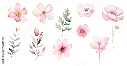 Pink watercolor floral elements. Wedding flowers PNG. Transparent background. Botanical bundle.