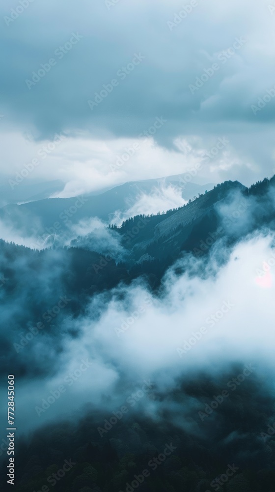 Misty mountain vista with forest