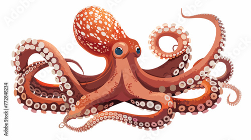 Flat color of octopus