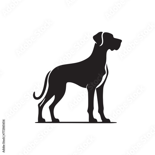 Graceful Great Dane Dog Silhouette: Majestic Canine Profile Illustration- Great Dane Black Vector Stock. © Wolfe 