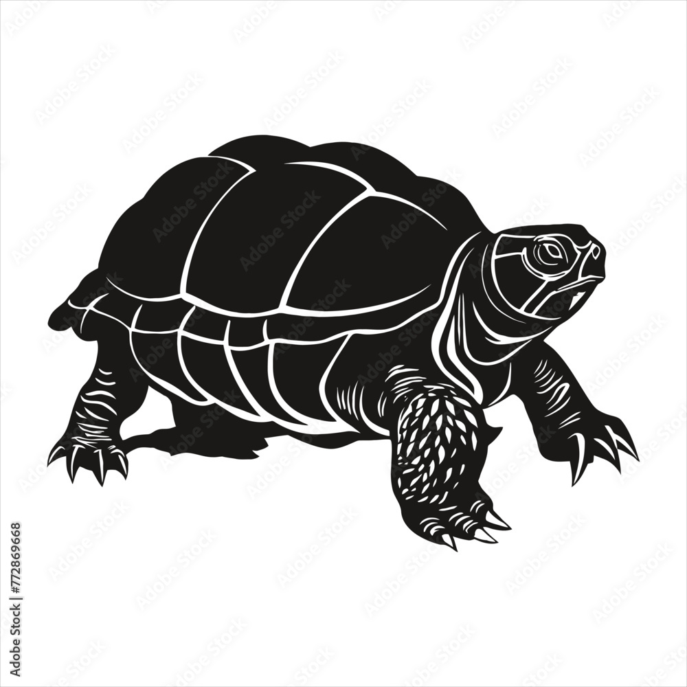 Fototapeta premium Red-Eared Slider Turtle Silhouette