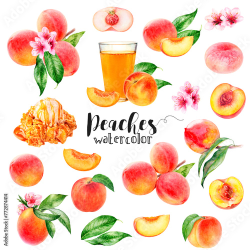 Watercolor illustration of peaches set close up. A large set with different peach varieties  on a branch with leaves  flowers  glass of juice and sliced peaches. PNG