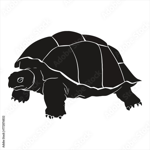 Sulcata Tortoise Silhouette