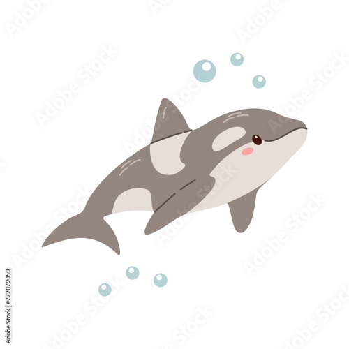 Cute hand-drawn colored killer whale in flat style, ocean aquatic underwater kawaii vector. Vector cartoon illustration on white background.