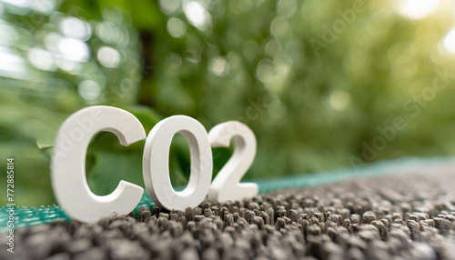 カーボンニュートラル 脱炭素 二酸化炭素 CO2 温室効果ガス 排出ゼロ 吸収 除去 差し引きゼロ 2050年 メタン フロンガス 一酸化二窒素 N2O 森林 植物 環境破壊 オゾン層 地球環境