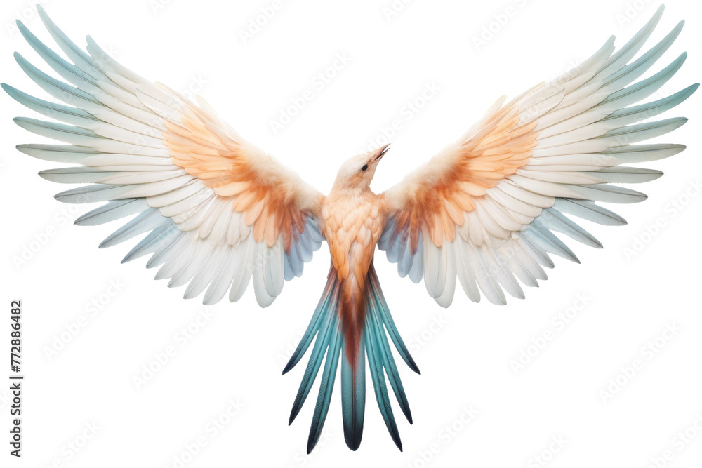 Fototapeta premium White and Orange Bird Spreading Wings. On a White or Clear Surface PNG Transparent Background..