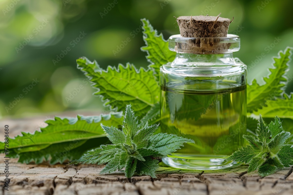 Aromatic Mint Oil in a Glass Bottle, Perfect for a Monthly Self-Care Routine Generative AI Aromatic Mint Oil in a Glass Bottle, Perfect for a Monthly Self-Care Routine Generative AI