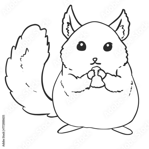 Chinchilla Pet Coloring