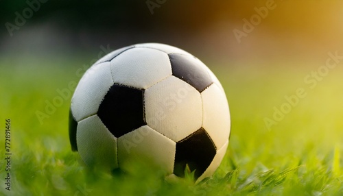 A soccer ball lying on the grass of a soccer field. close up  warm sunshine