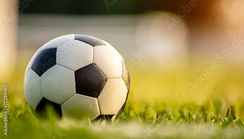 A soccer ball lying on the grass of a soccer field. close up, warm sunshine