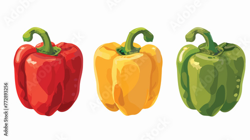 Bell pepper. Vector illustration isolated on white background photo