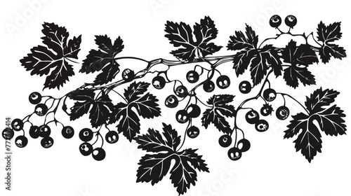 Black and white currant stylized sheet Flat vector 