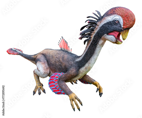 Citipati is a genus of oviraptorid dinosaur that lived in Asia during the Late Cretaceous period