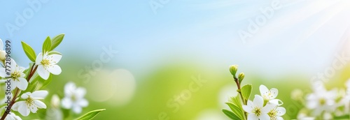 Fresh spring sprigs on green background. Spring concept. Natural background,banner