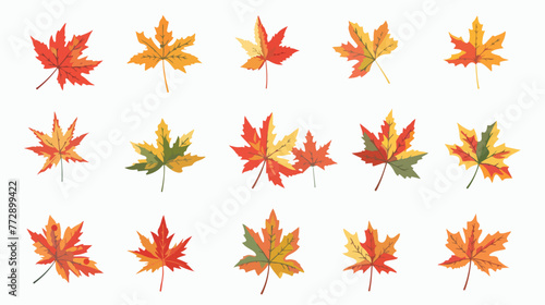 Colorful maple leaves in autumn colors 